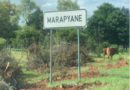 Marapyane its origins and descendants and the chiefs that rule over it part 2